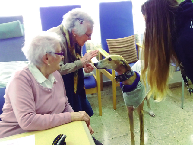 teràpia d'animals, Interessant activitat amb animals al Centre de Dia Sabadell Centre