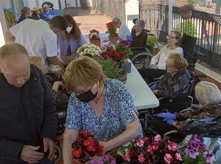 Flors i collites a les residències de gent gran, Herbes aromàtiques, flors i collites mantenen ocupada a la gent gran de les residències i centres de dia de Grup Mutuam